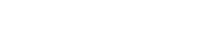 Logo-NetworkSecure-02