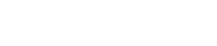Logo-NetworkSecure-02